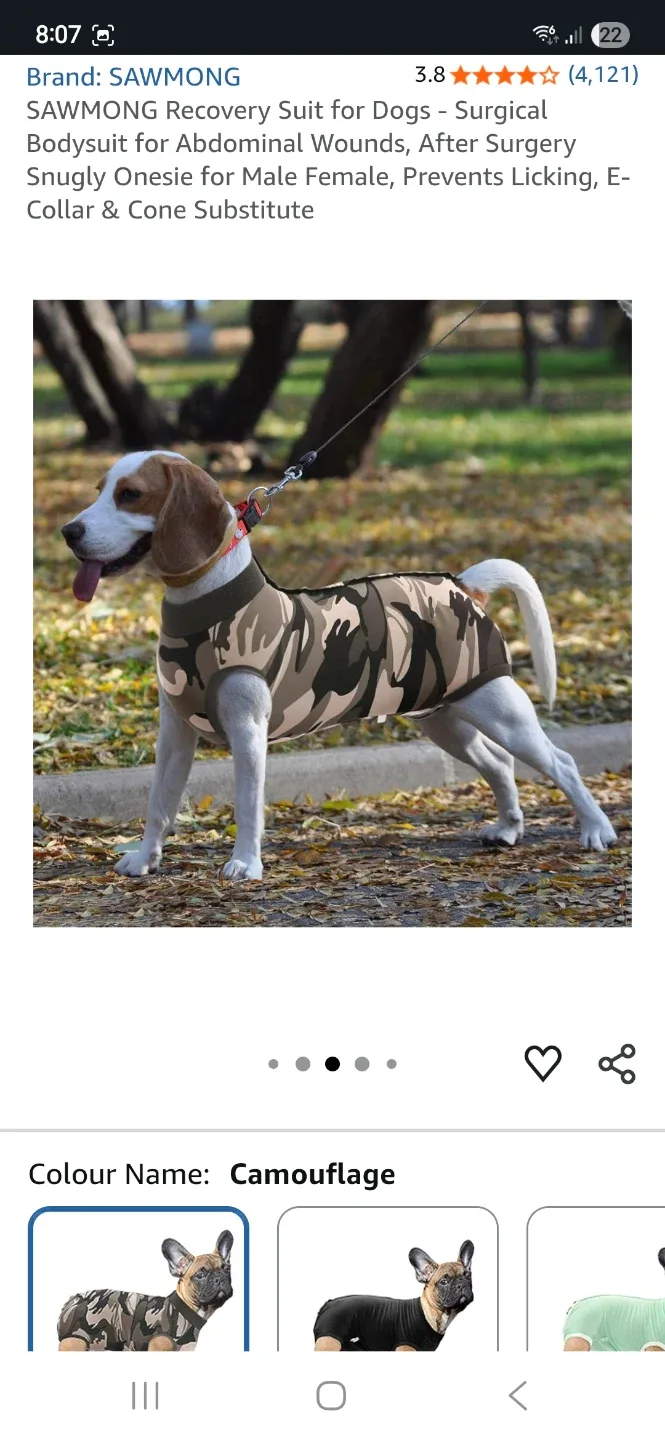 Camouflage Dog Onesie/Post-Surgery Recovery image indicator(9)