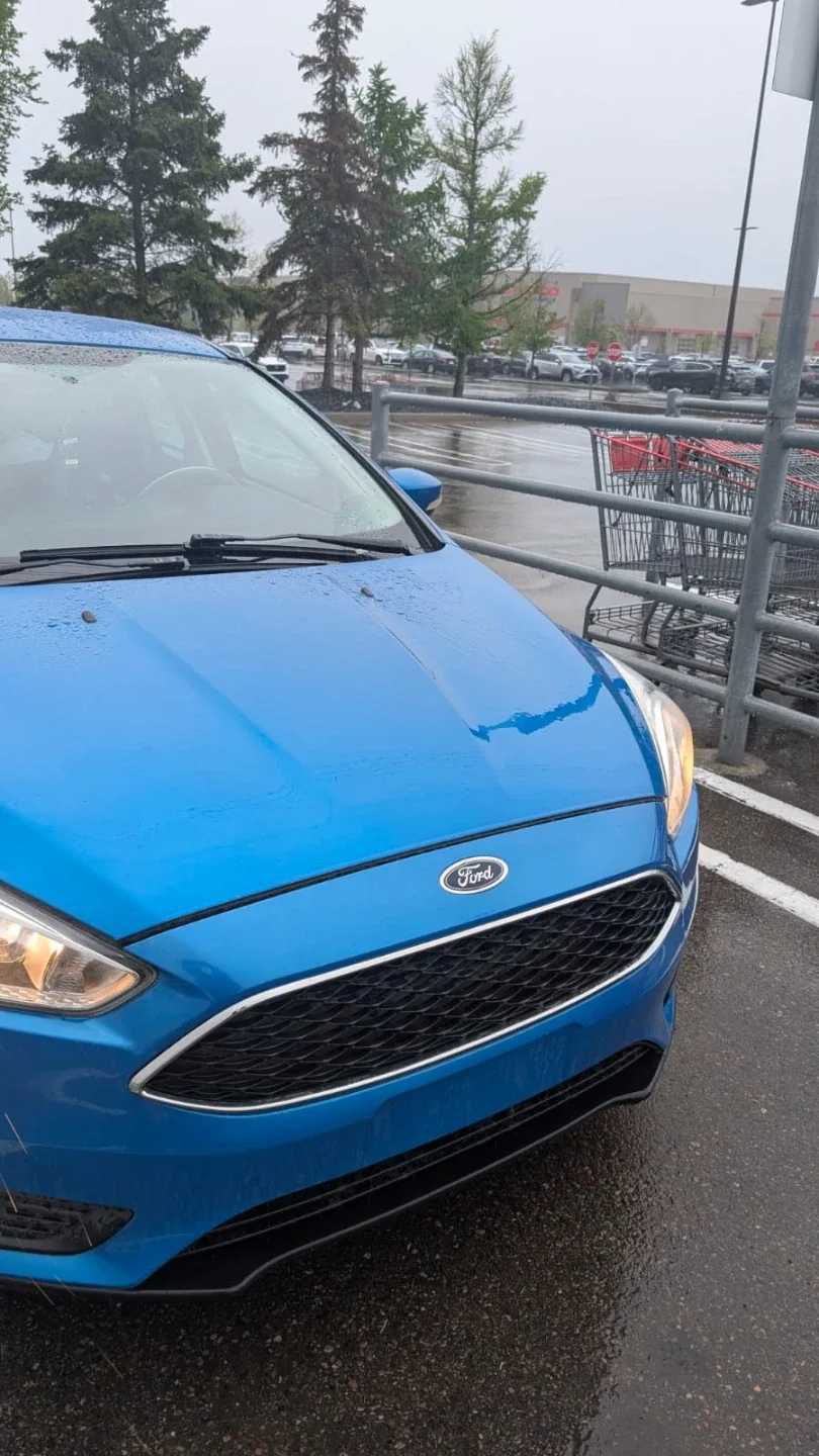 Blue Ford Focus Hatchback image indicator(7)