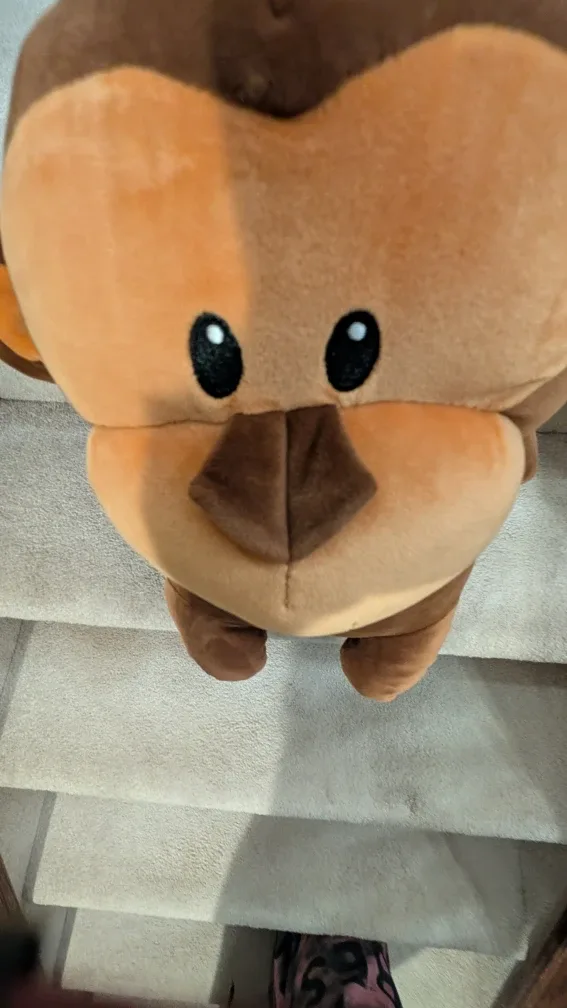 Monkey Plush Toy image indicator(3)
