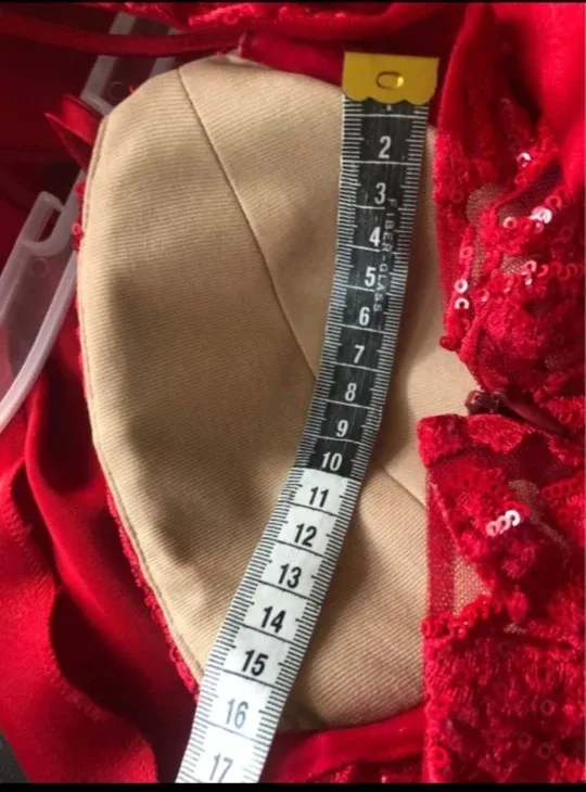 Red Satin Dress image indicator(4)