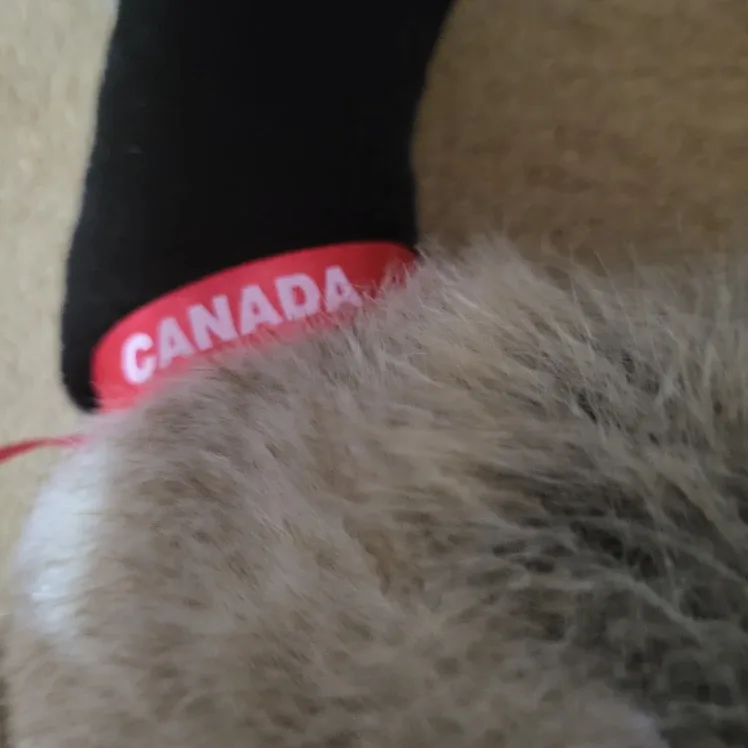 Canada Goose Plush Toy image indicator(3)