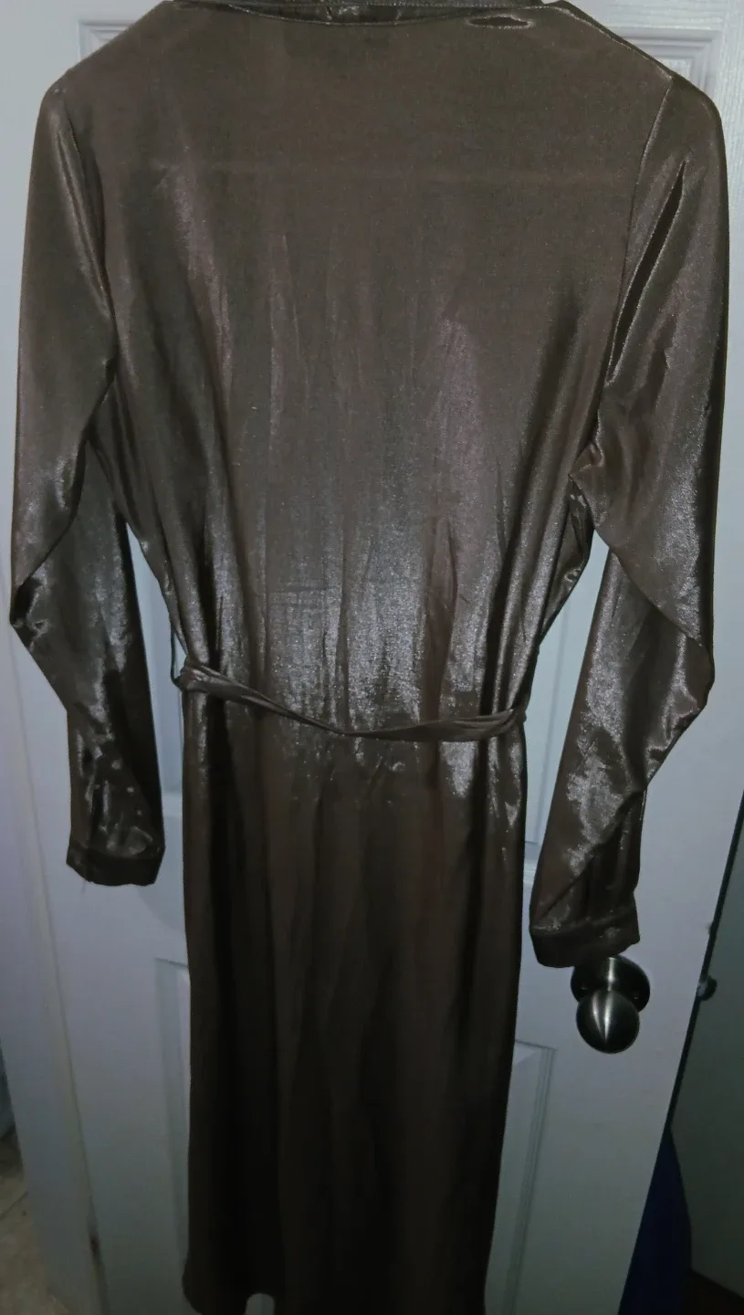 Modesty Brown Shirt Dress image indicator(4)