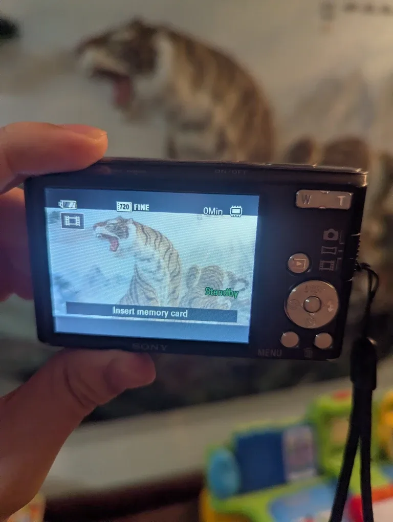 Sony Cyber-Shot DSC-W830 20.1MP Digital Camera (USED) image indicator(4)