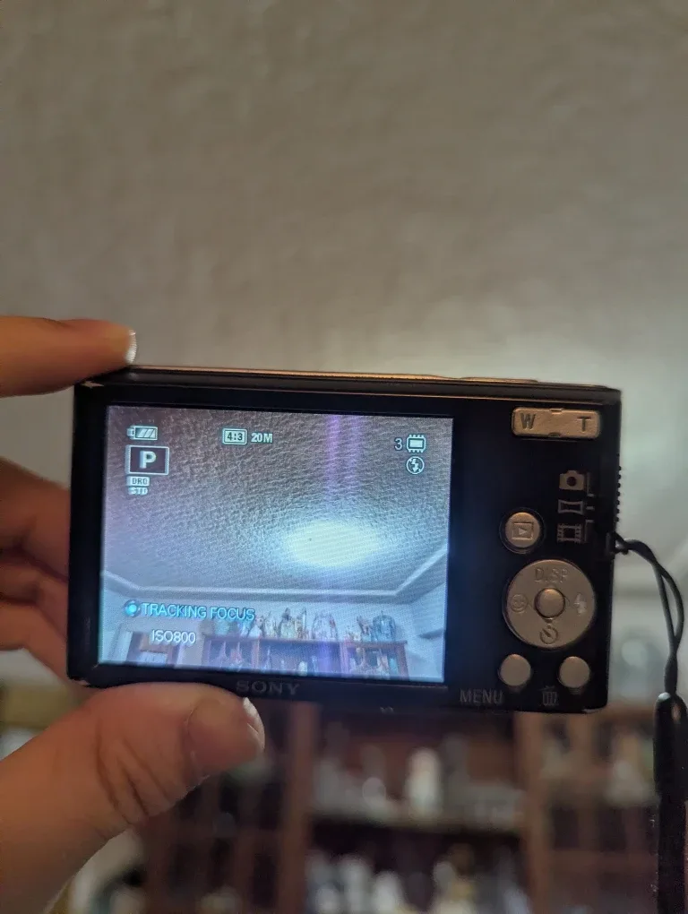 Sony Cyber-Shot DSC-W830 20.1MP Digital Camera (USED) image indicator(5)