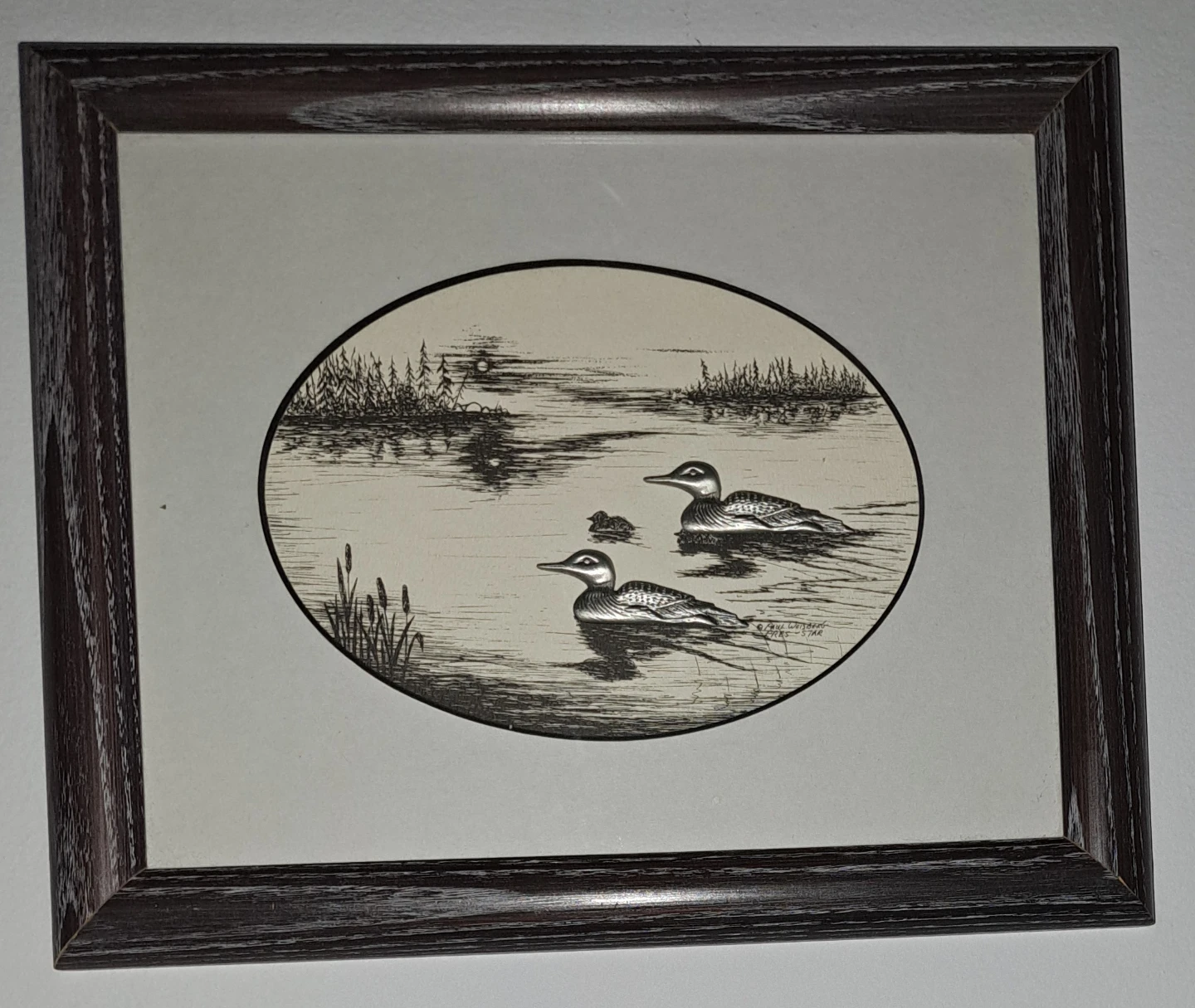 Framed Loon Print - photo 4