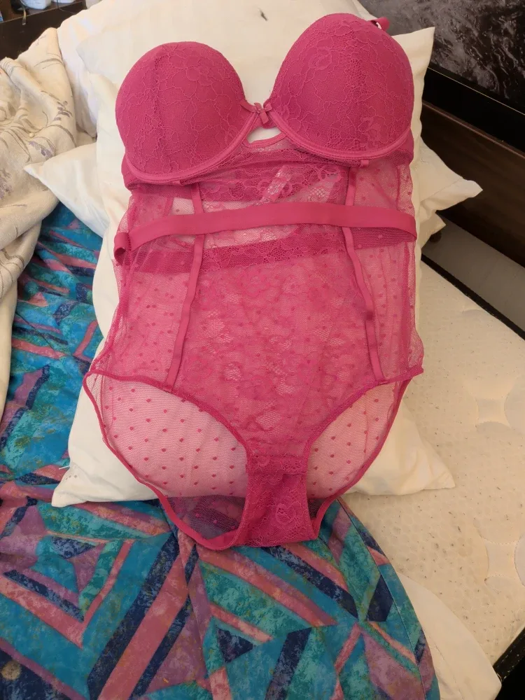Pink Lace Bodysuit - Size 2X image indicator(2)