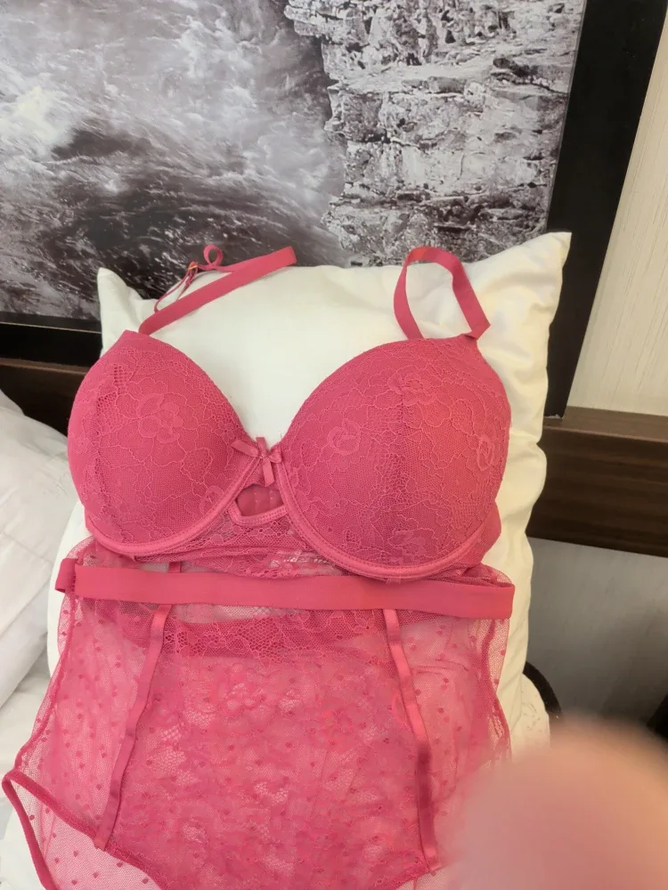 Pink Lace Bodysuit - Size 2X image indicator(3)