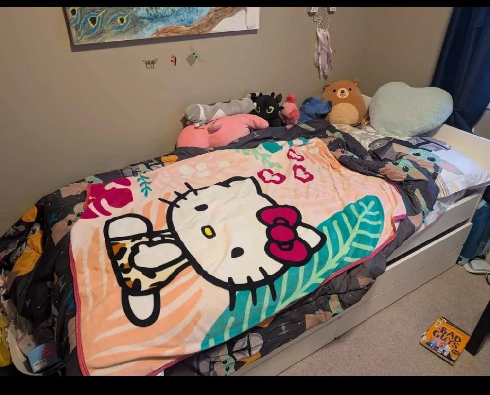 IKEA SLÄKT Bed frame w/pull-out bed + storage, Twin image indicator(3)