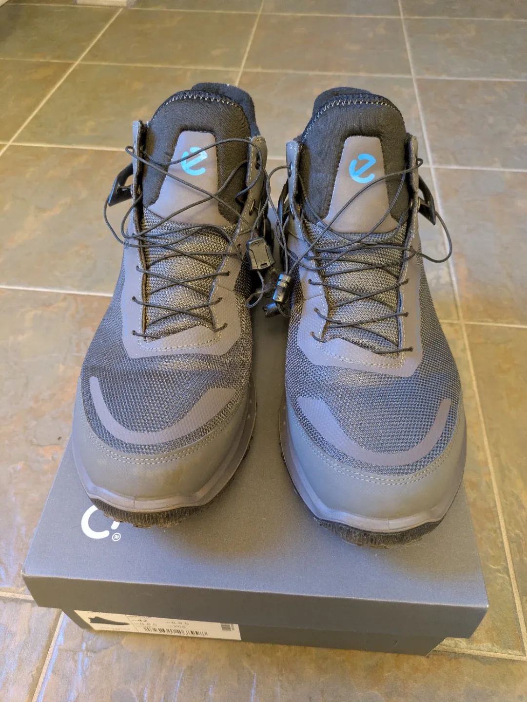 Ecco Men's Biom 2.1 Grey Hiking Shoes