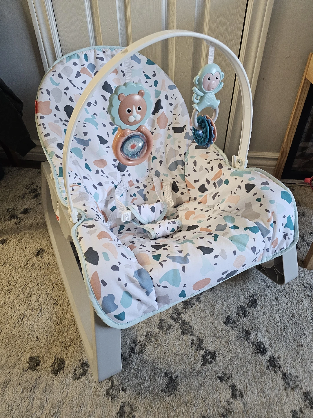 Fisher-Price Baby Bouncer