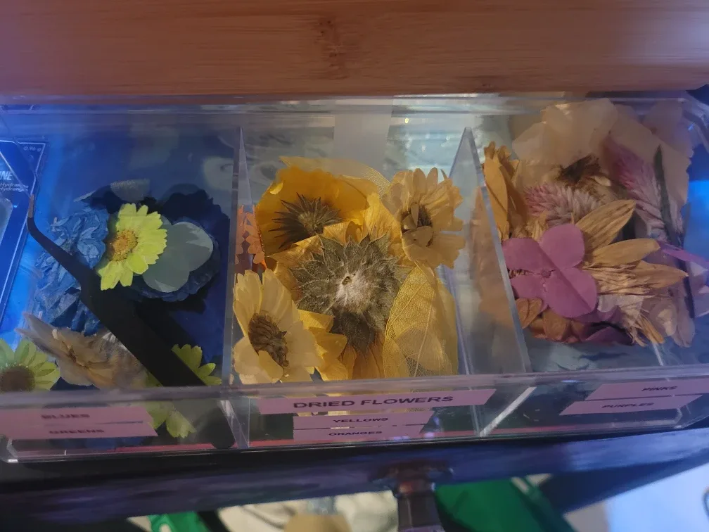 Assorted Dried Flowers and Leaves image indicator(8)