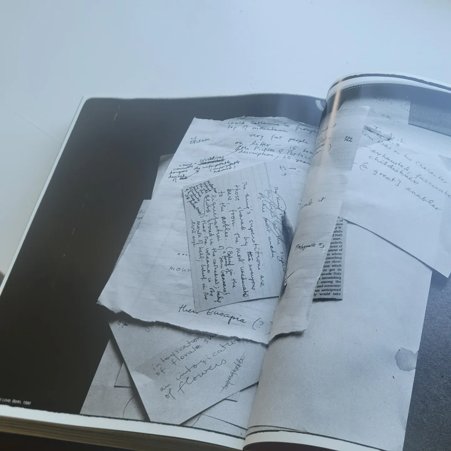 Annie Leibovitz A Photographer's Life  Hardcover Blue Book image indicator(7)