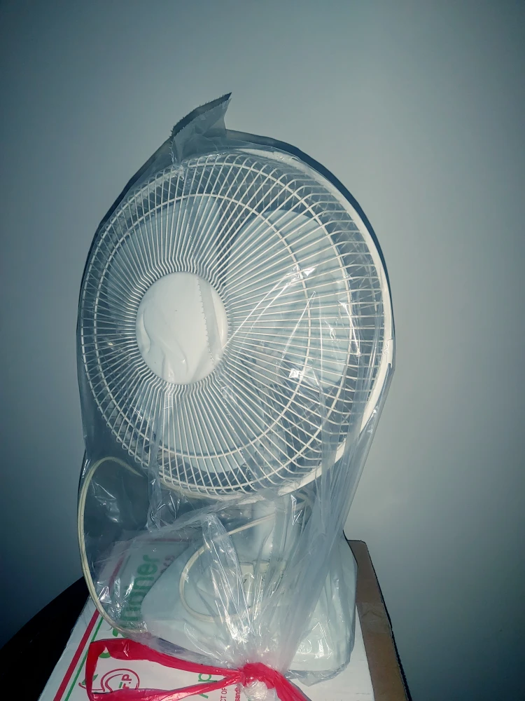 Fan