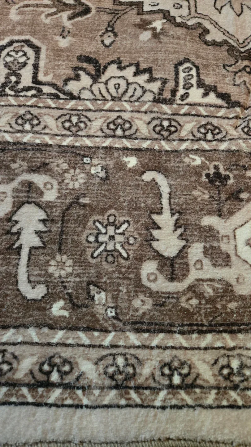 Brown Area Rug - 5'x7' image indicator(2)