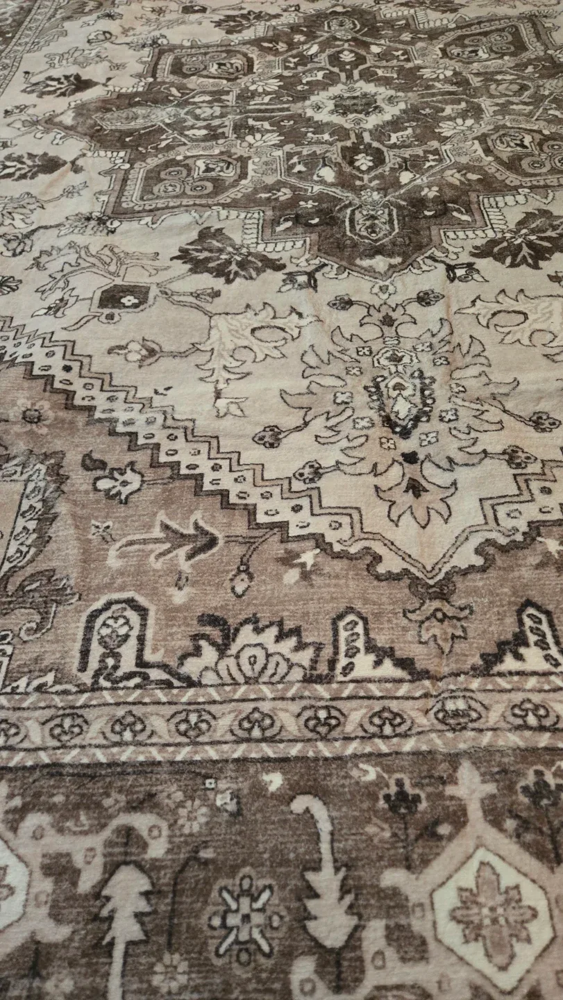 Brown Area Rug - 5'x7' image indicator(3)