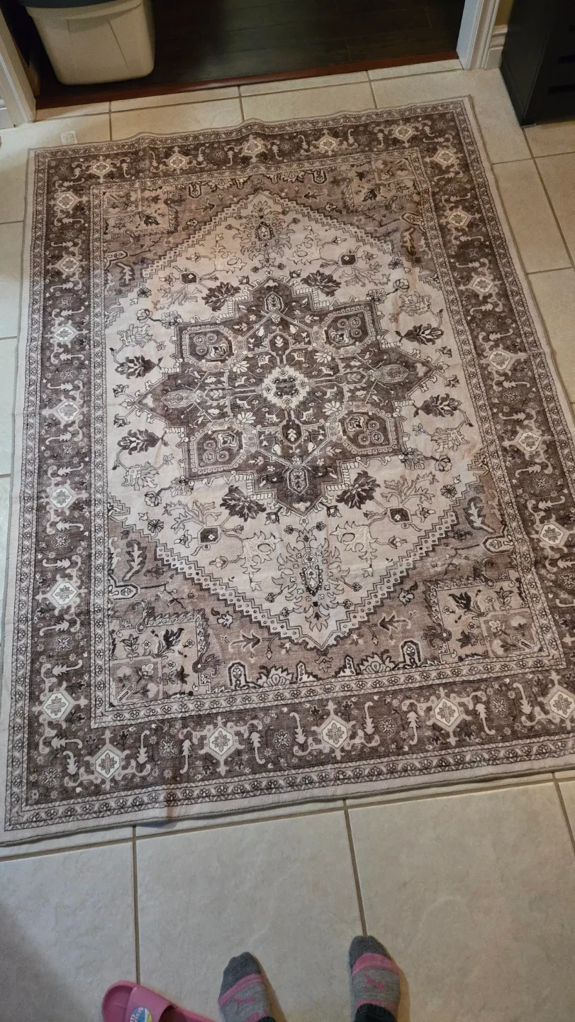 Brown Area Rug - 5'x7' image indicator(4)