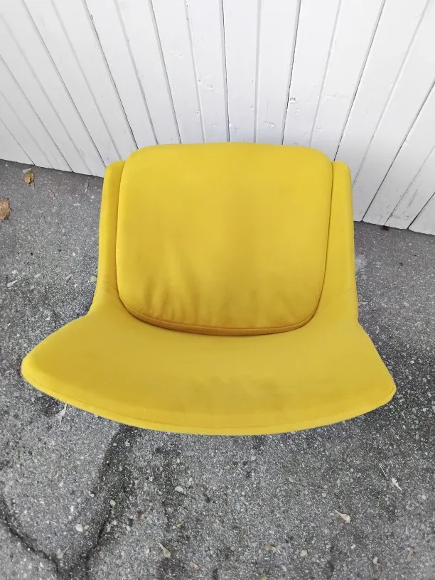 🌝Yellow Velvet Dining Chair🎗 image indicator(8)