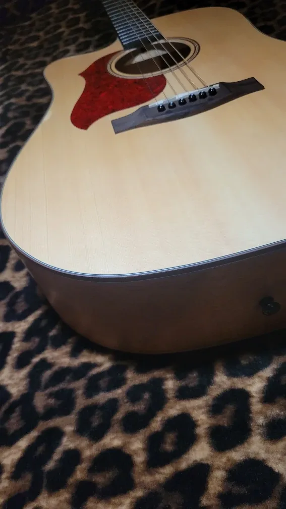 Donner Acoustic Guitar image indicator(4)