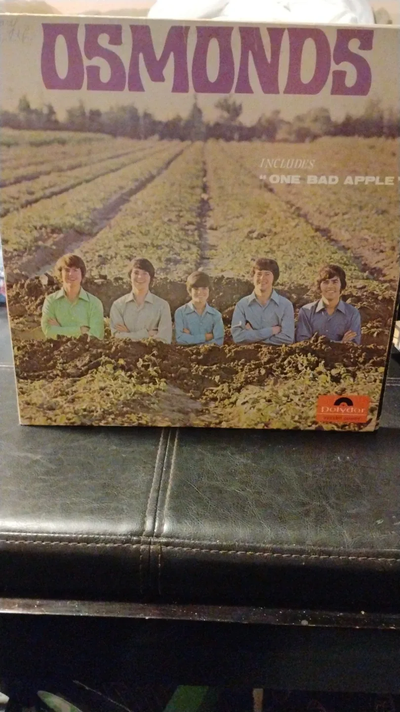 The Osmonds Vinyl Records Lot image indicator(2)