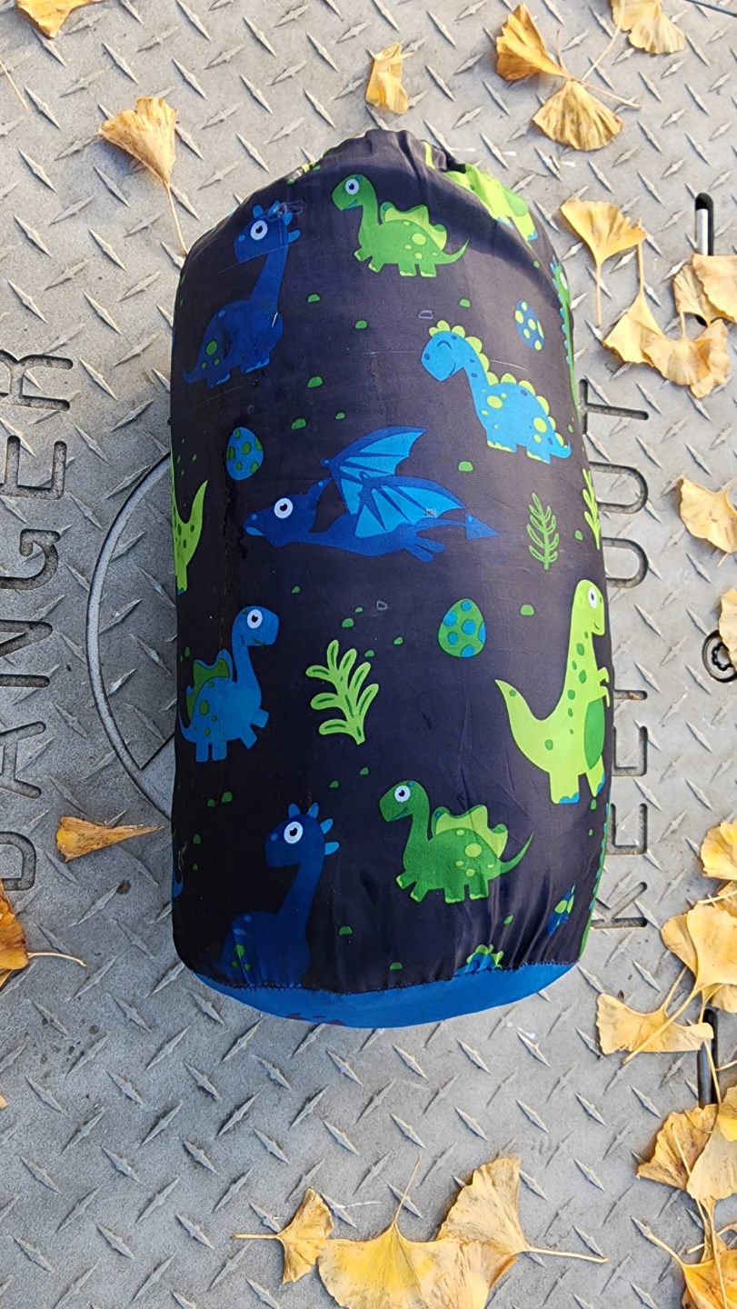 Dinosaur Print Sleeping Bag 🥕🥕🥕