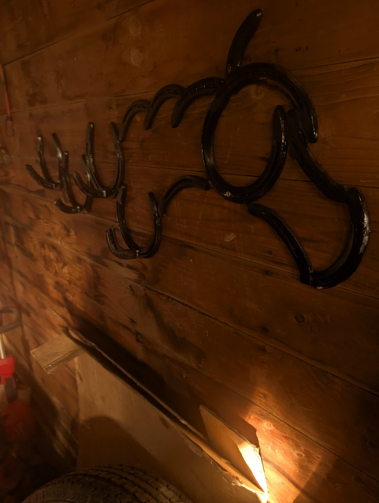 Horseshoe Art Coat Rack - photo 2