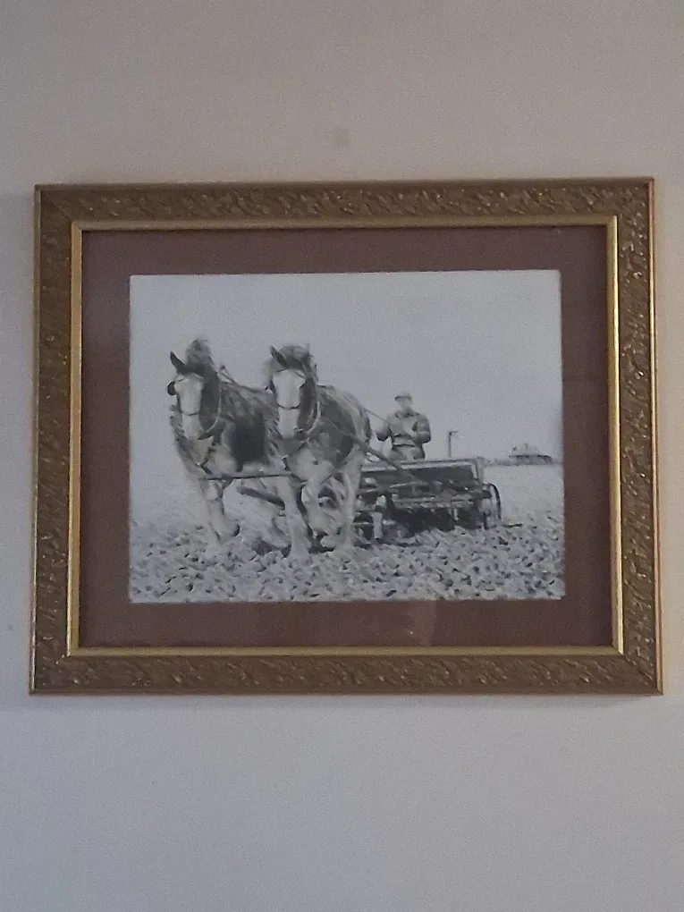 Beautiful old picture image indicator(2)