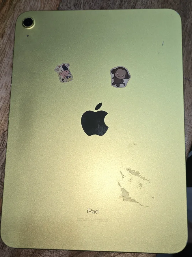 Apple iPad