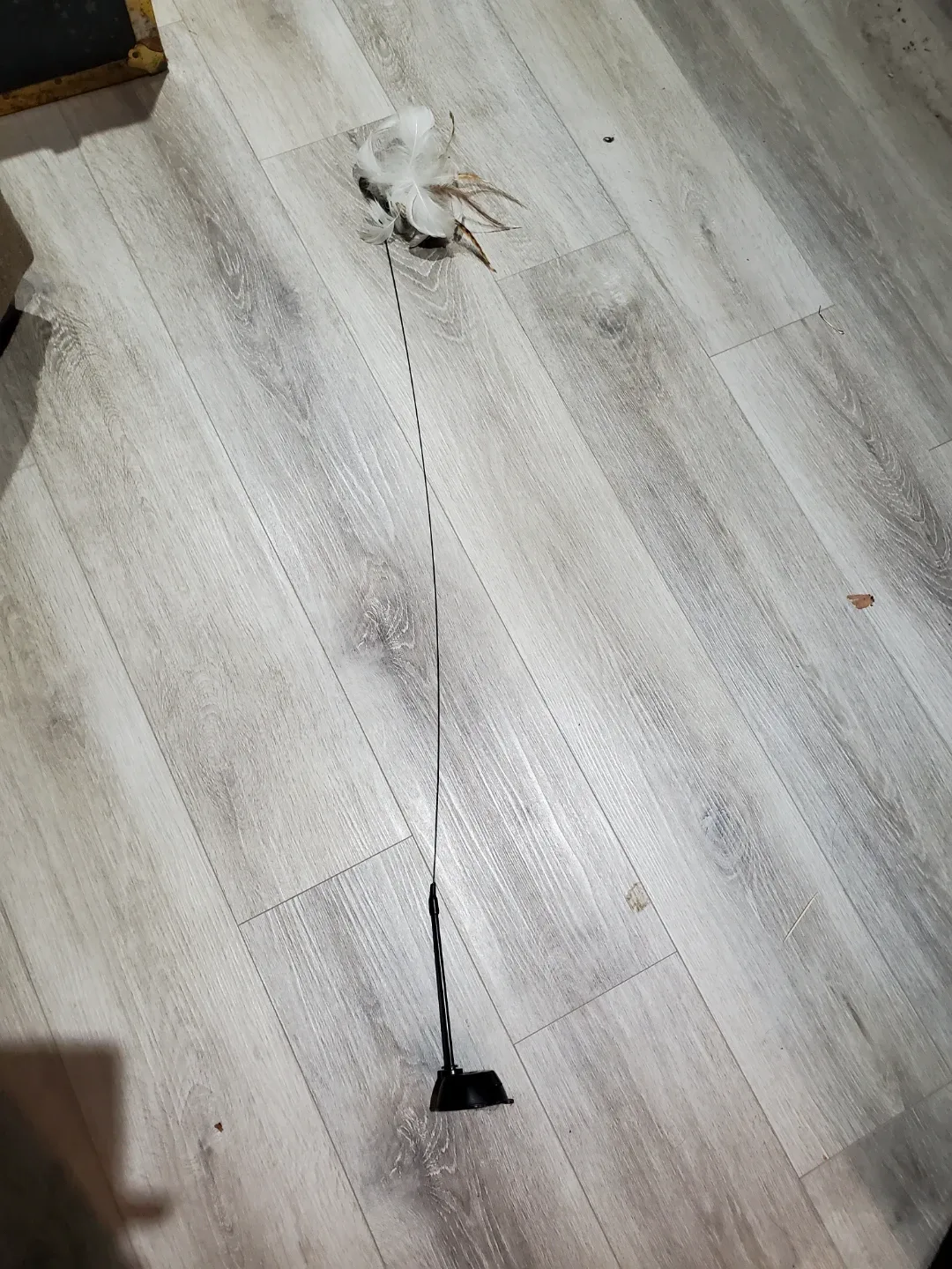 Cat Fishing Rod Toy with Feathers