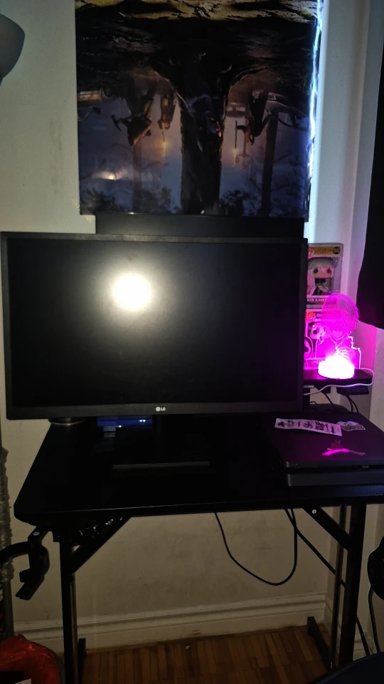 LG Gaming Monitor - Black