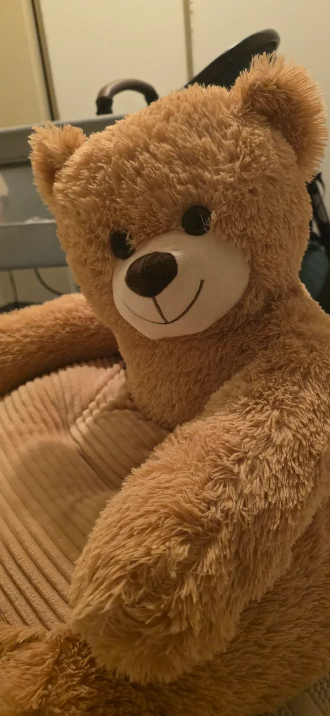 Teddy Bear Chair - Cute & Comfy! image indicator(2)