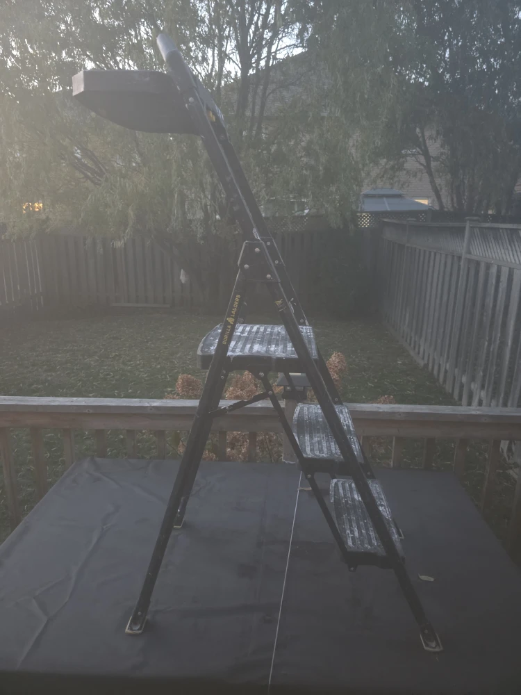 Werner 3-Step Ladder