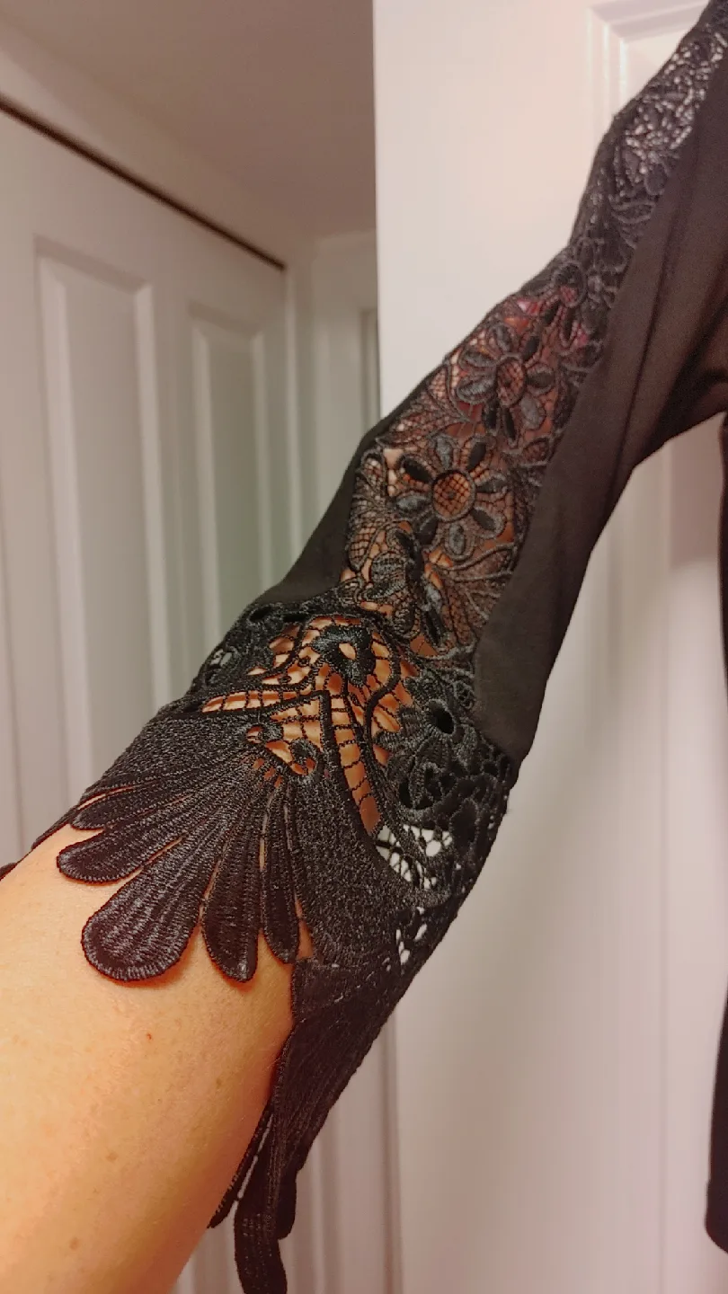 Dennis by Dennis Basso Black Lace Sleeve Top size Medium image indicator(3)