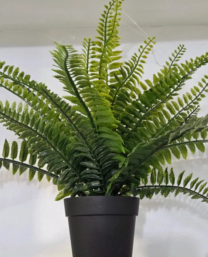 Artificial Fern Plant