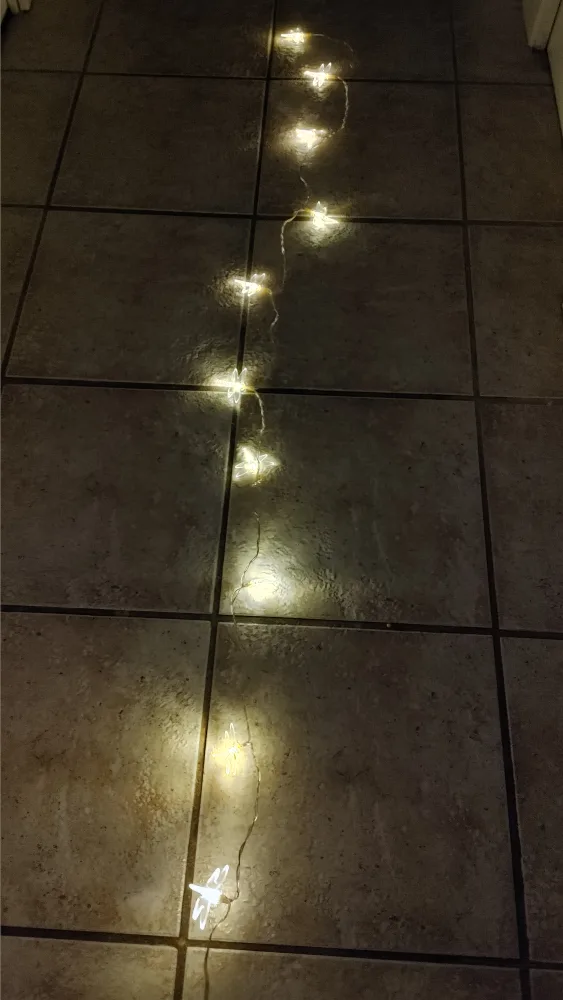 Dragonfly String Lights Battery Operated image indicator(6)
