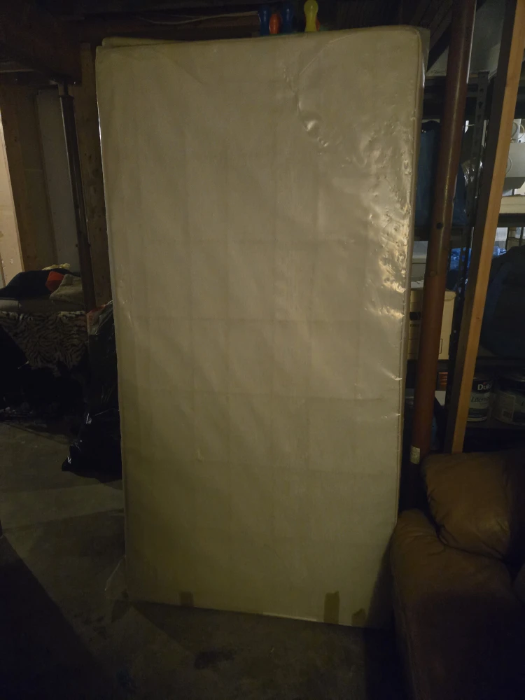 Single box spring