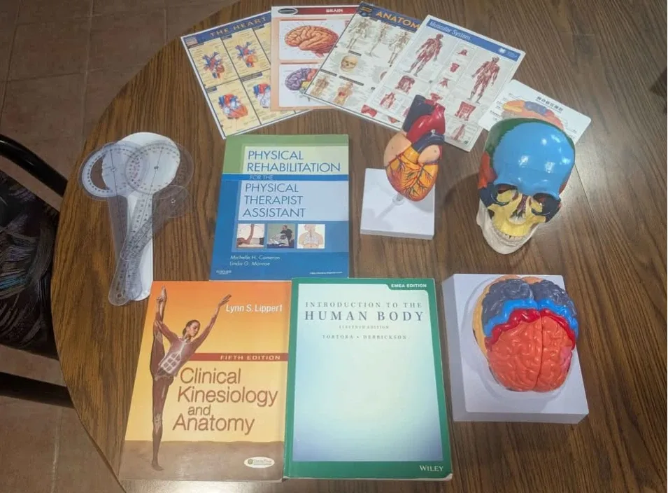 Physical Therapy & Anatomy Books