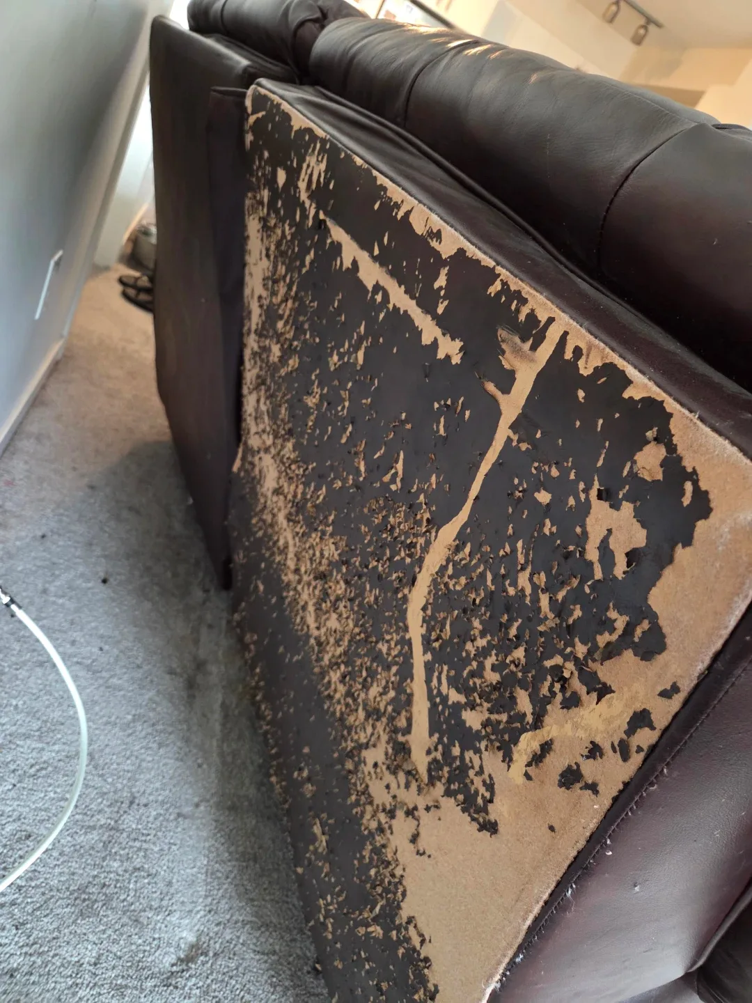 Love seat and lounger chair image indicator(3)