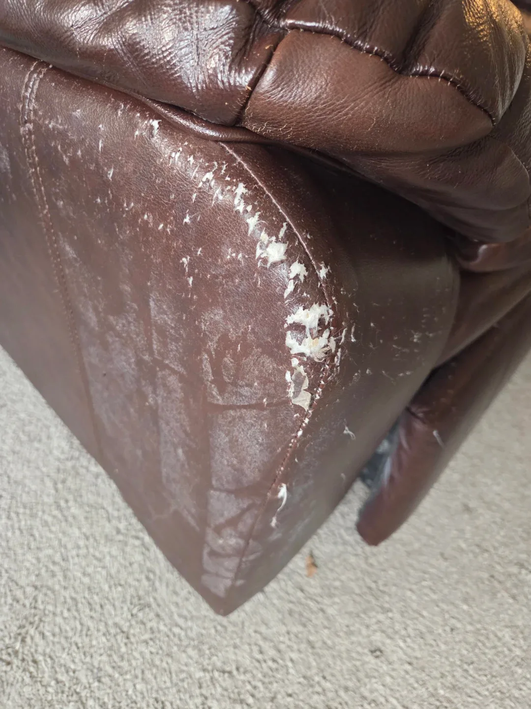 Love seat and lounger chair image indicator(4)