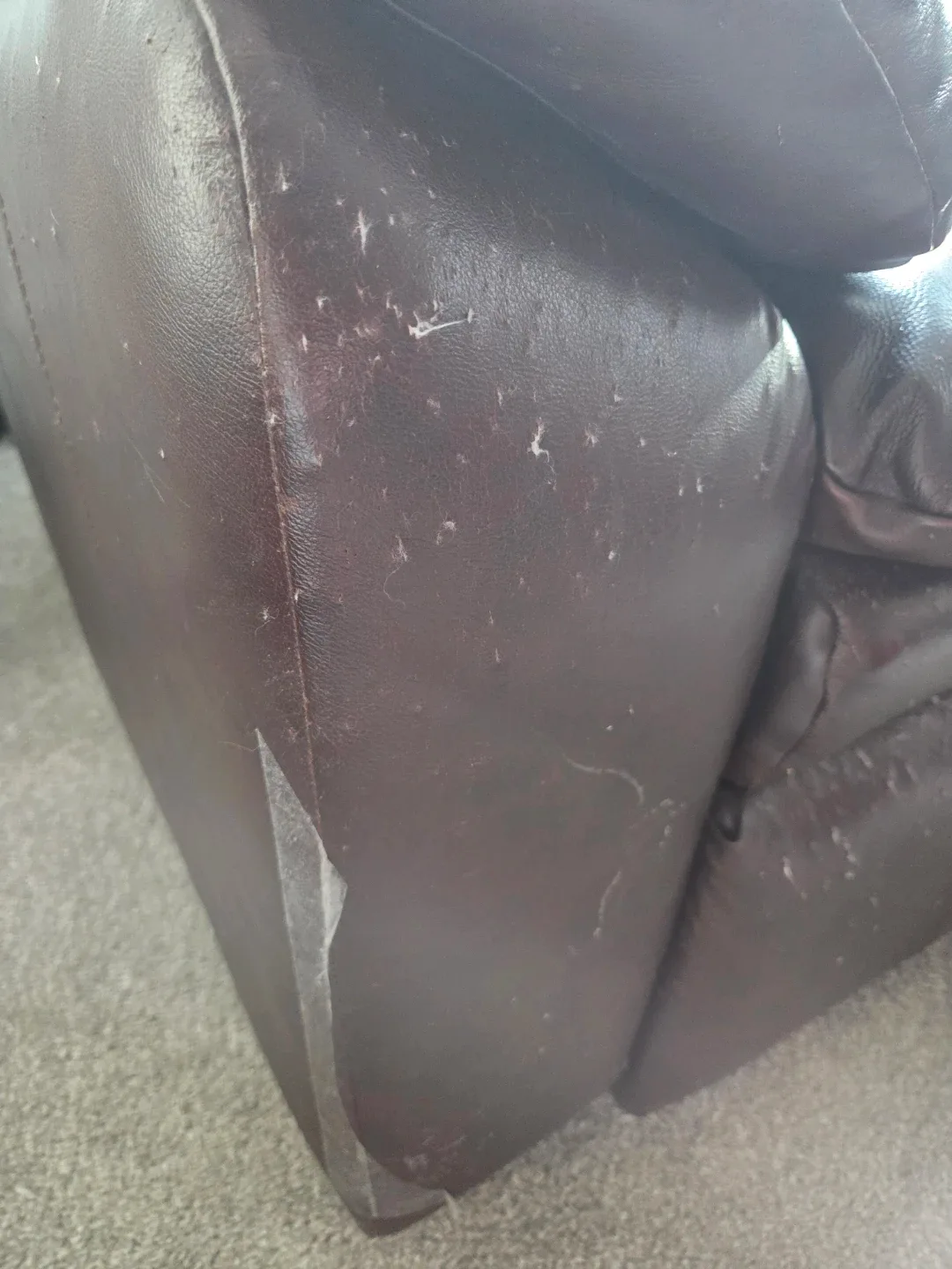 Love seat and lounger chair image indicator(5)