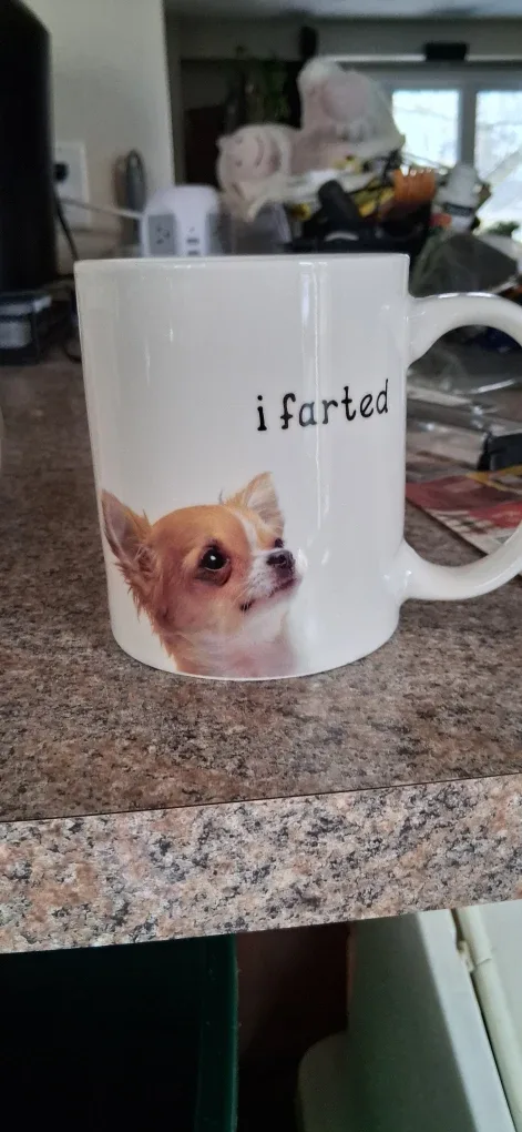 Variety of Decorative Mugs image indicator(6)