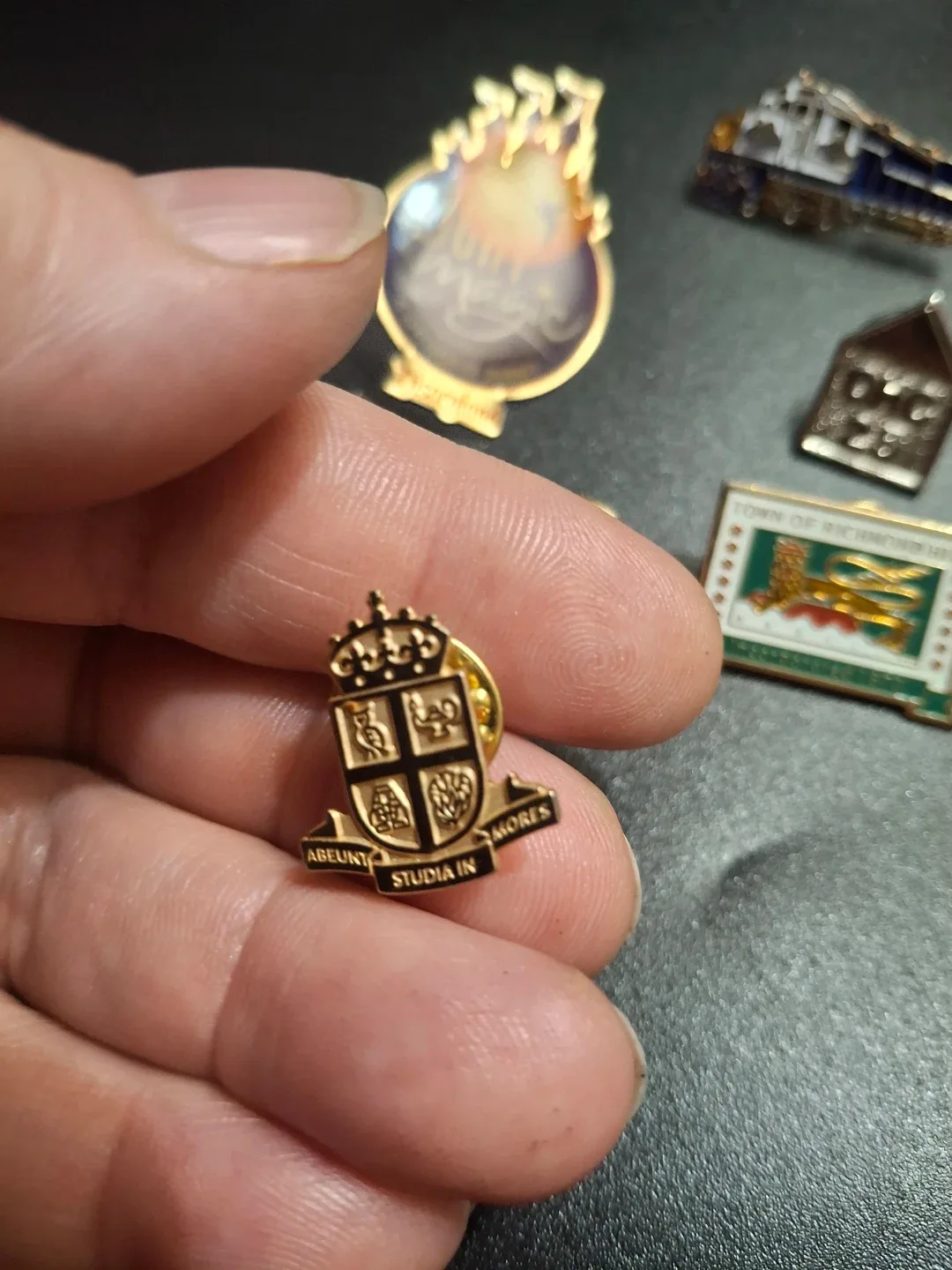 Assorted Collectible Pins image indicator(2)