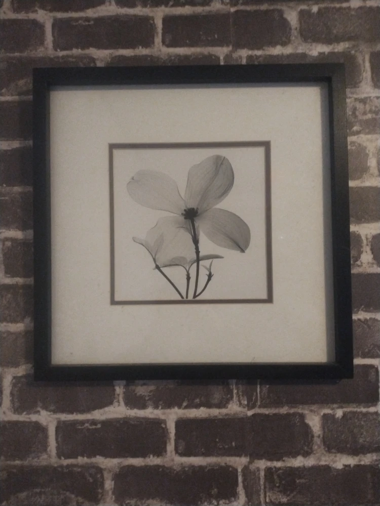 Framed Flower Print