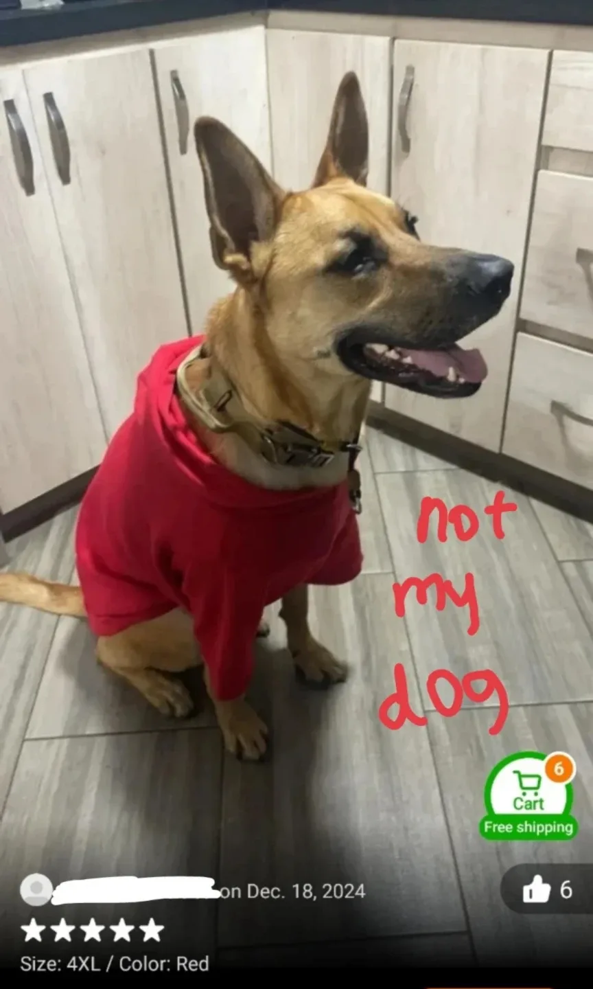 Red Dog Hoodie - Size 4XL image indicator(5)