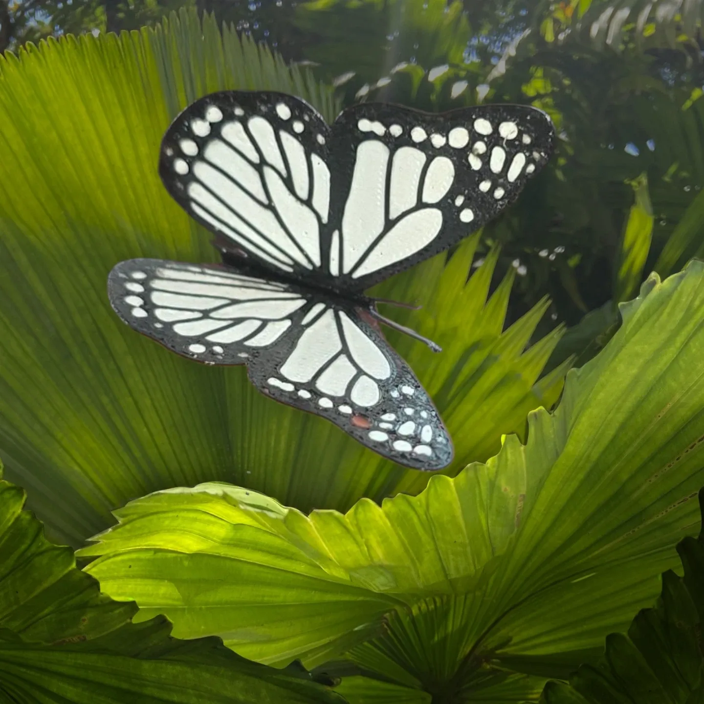 Bookmark, butterfly. image indicator(5)