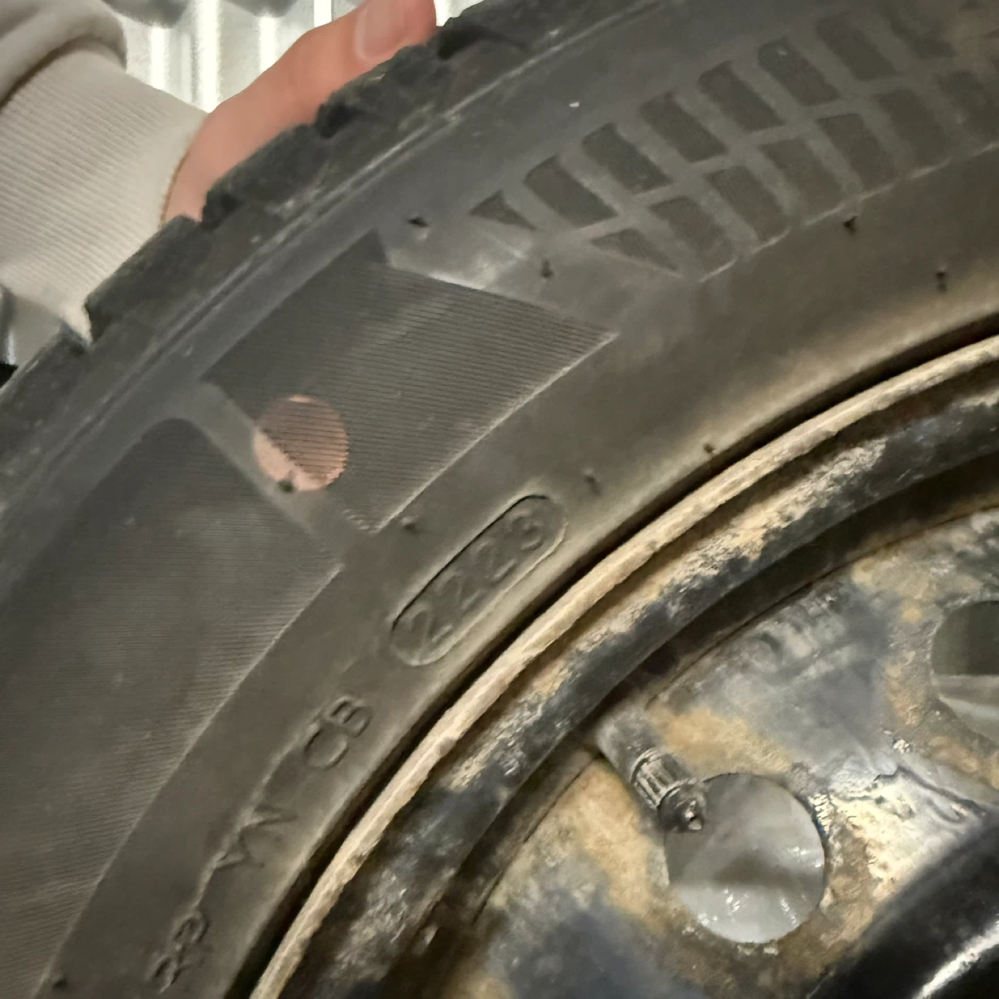 205/55R16 Winter Tire - photo 2
