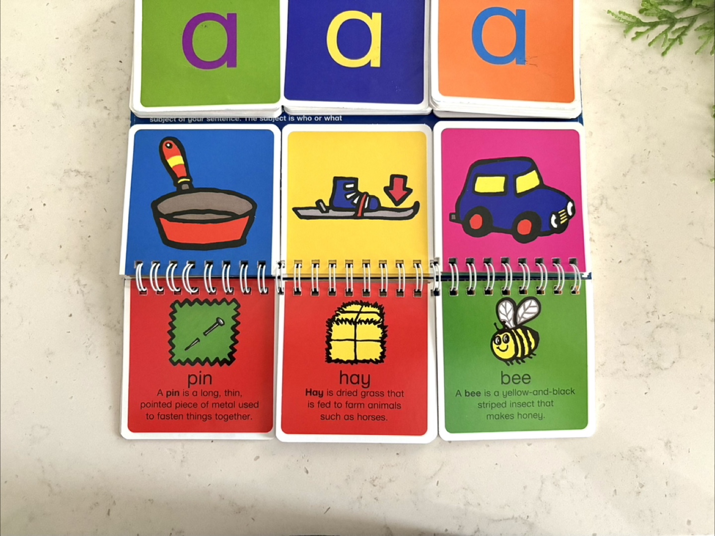I Can Spell Words with Three Letters Book - photo 4
