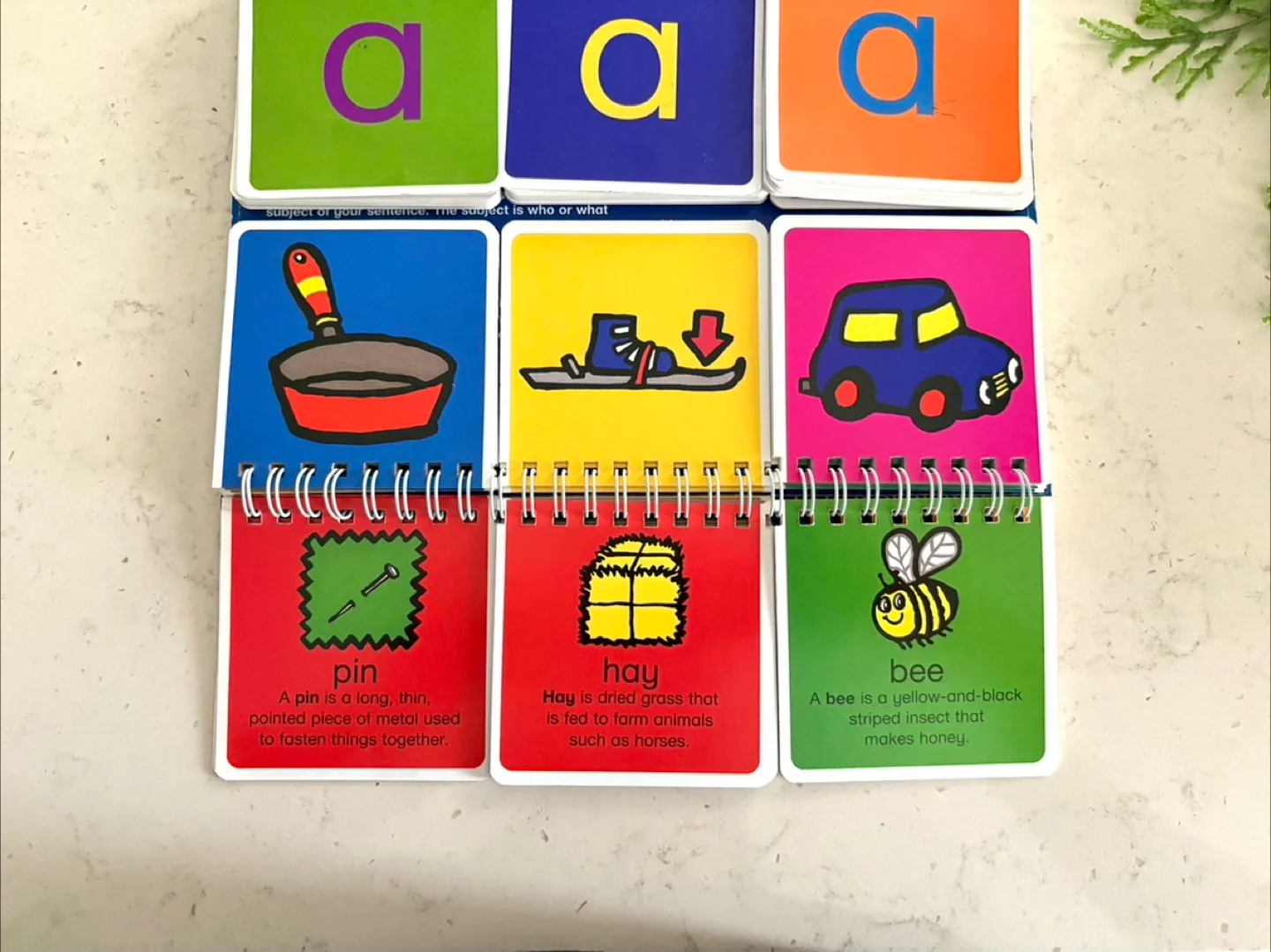 I Can Spell Words with Three Letters Book image indicator(4)