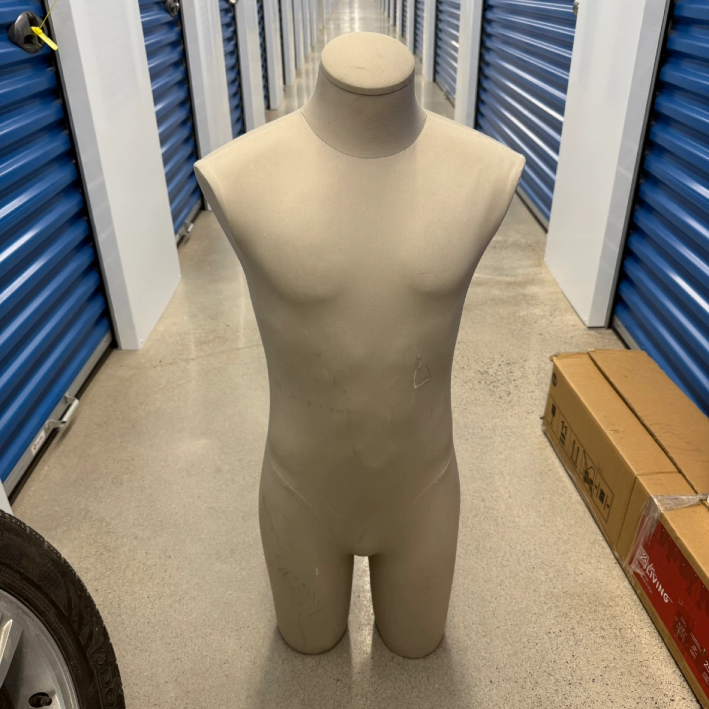 Male Mannequin Torso