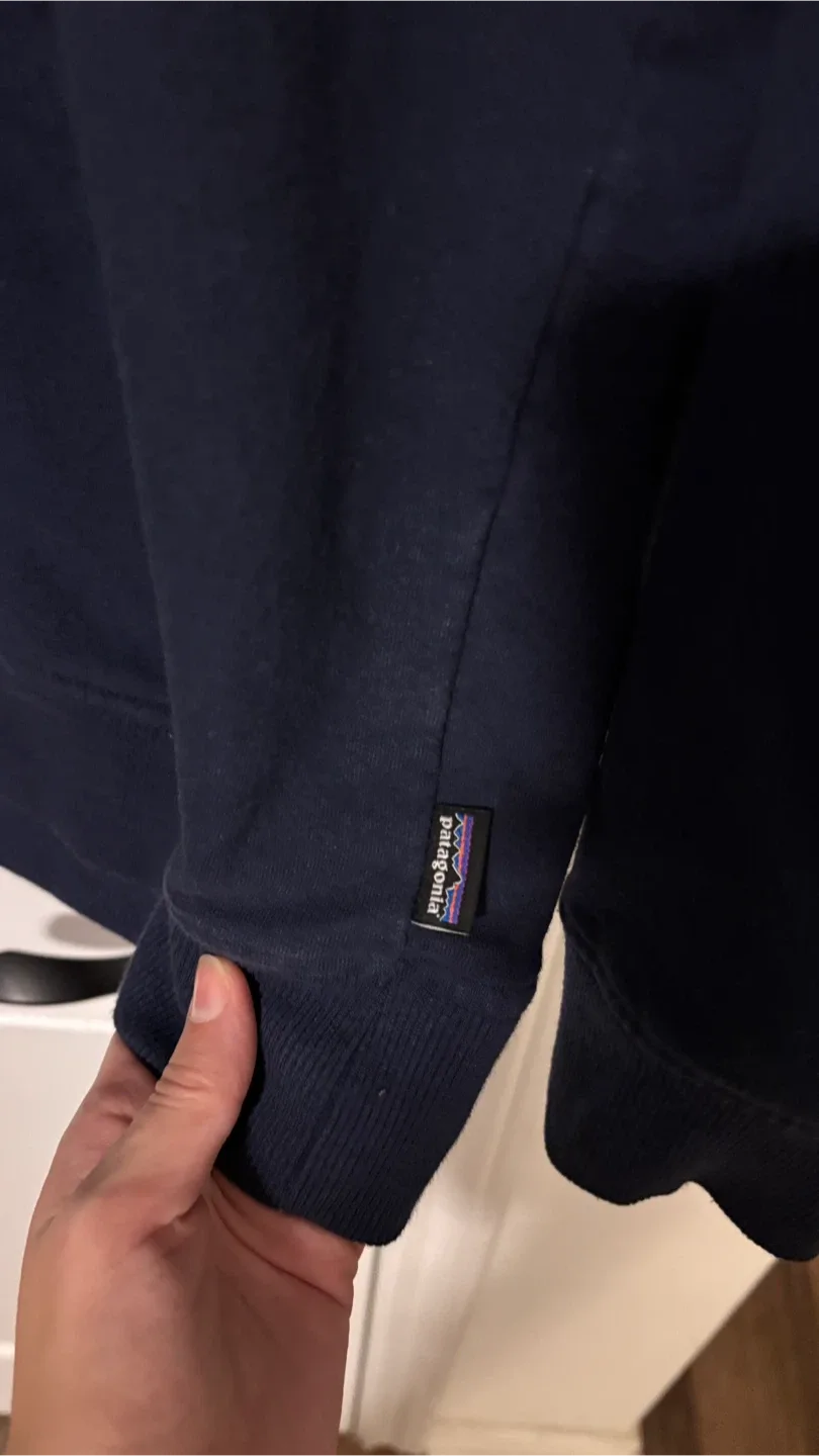 Patagonia Hoodie image indicator(2)