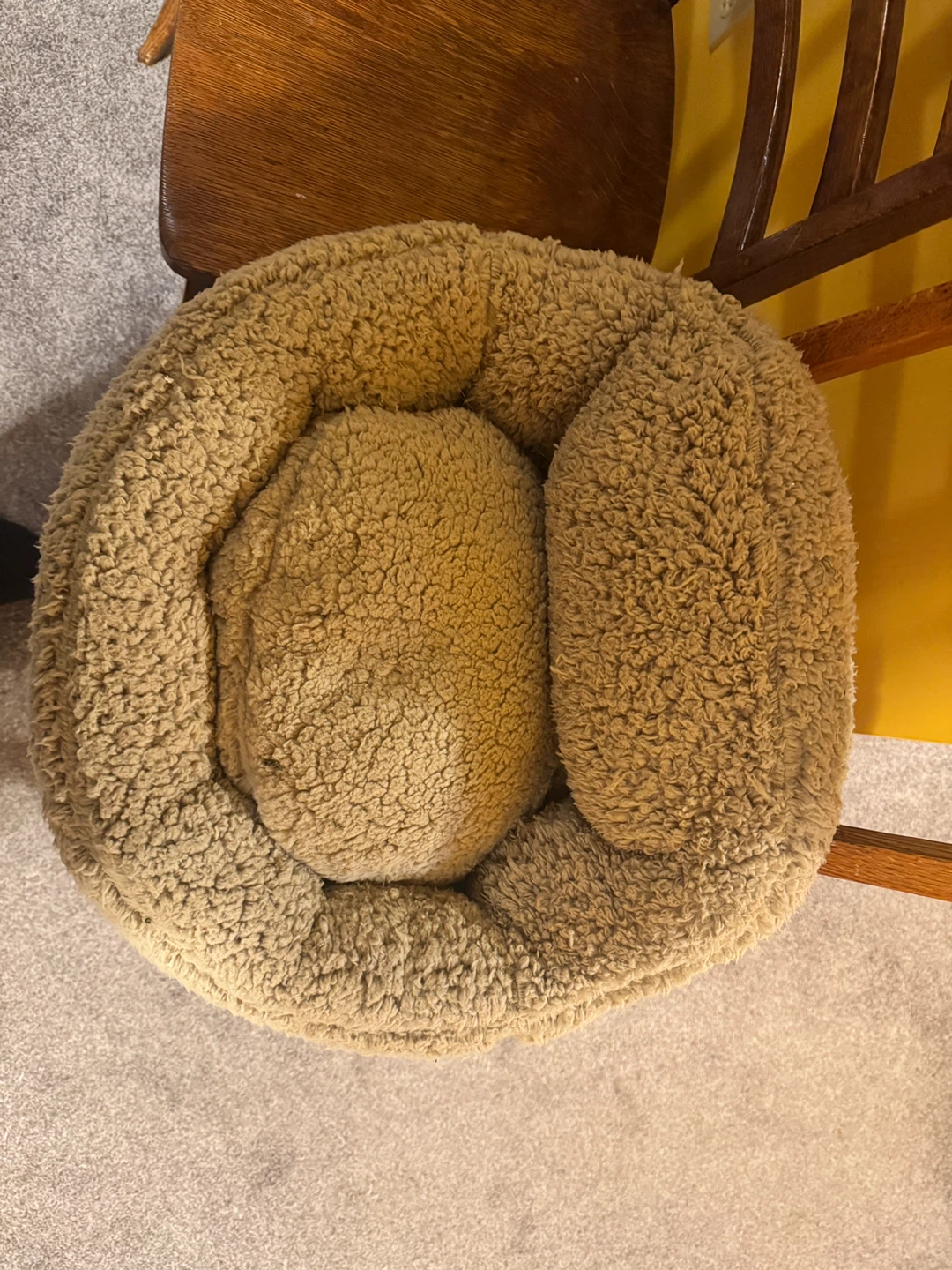 Cozy Pet Bed - Beige